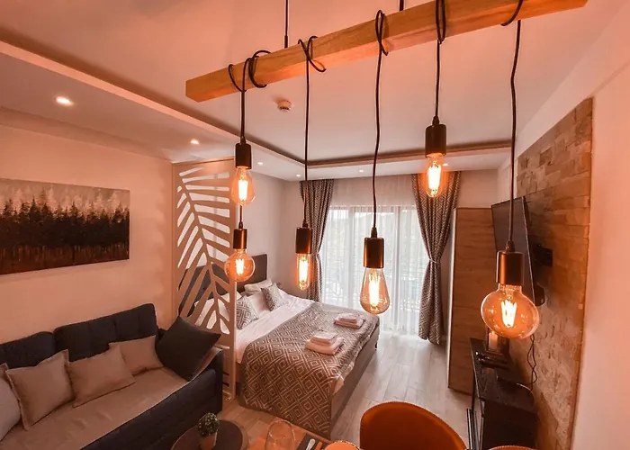 Wellness Hotels in Kopaonik