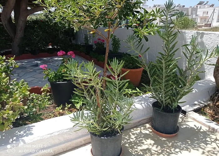 Mastichari (Kos) Strandhotels