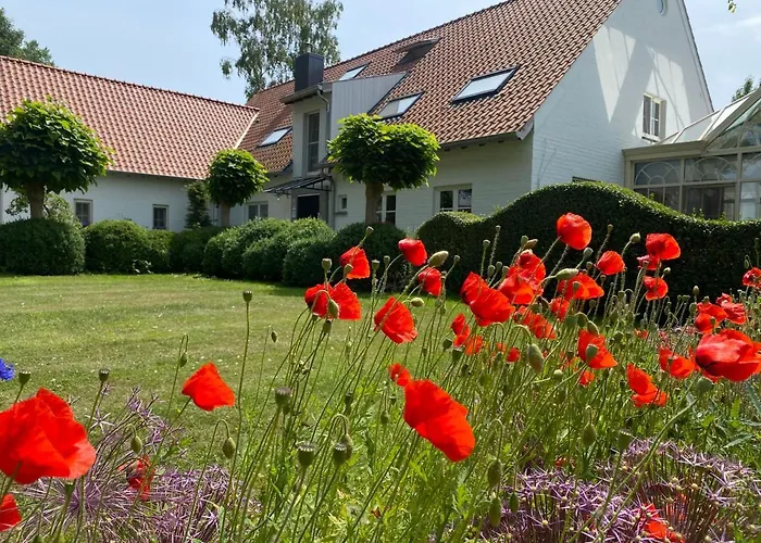Brugge Wellness Ophold