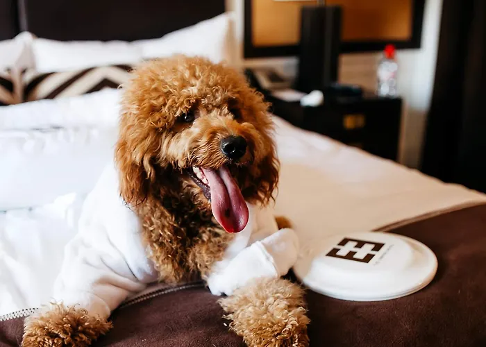 New York Strandhotels