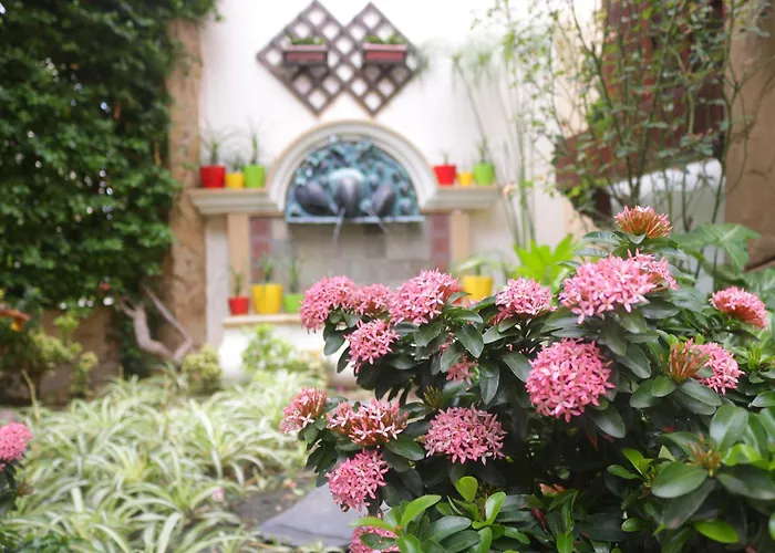 Wellness Hotels in Santa Cruz de La Sierra