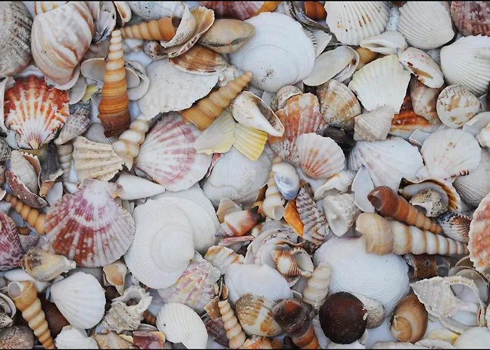 Donnalucata (Sicily) Hotel Sulla Spiaggia