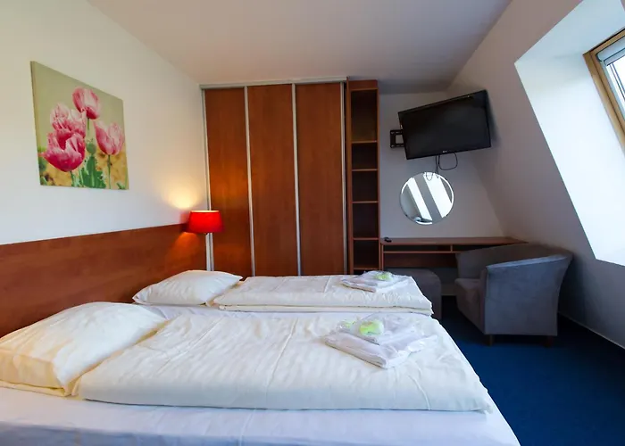 Wellness Hotels in Lipno nad Vltavou