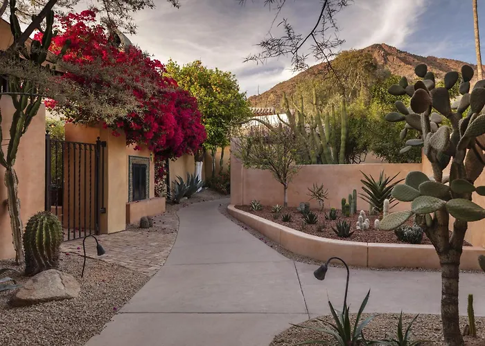 Phoenix Wellness Ophold