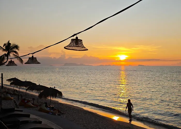 Wellness Hotels in Koh Samui