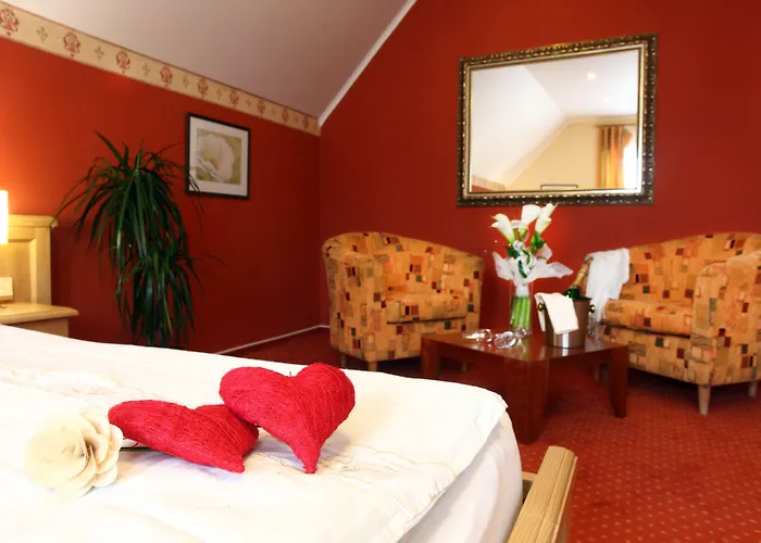Wellness Hotels in Decin