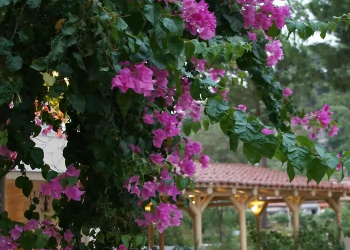 Wellness Hotels in İçmeler