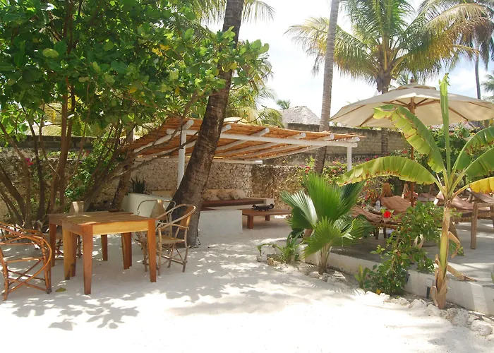 Hotels met Zwembad in Bwejuu