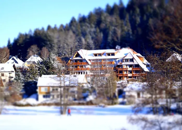 Hinterzarten Wellnesshotels