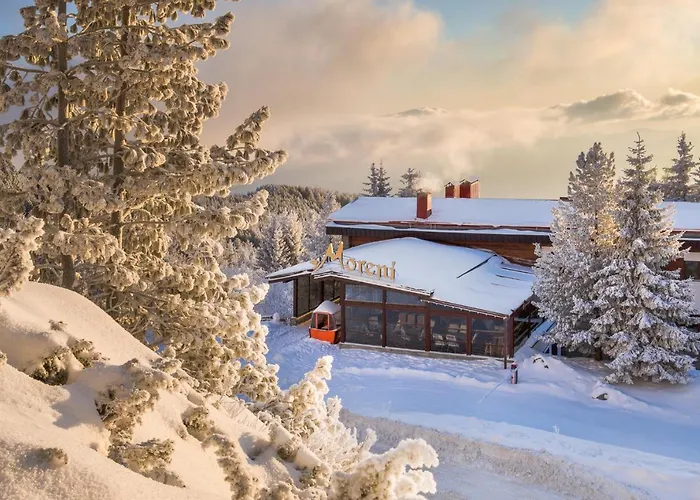 Vitosha Spa Hotels